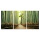 preview thumbnail 2 of 2, Chic Home Pine Road 3 Piece Set Wrapped Canvas Wall Art Giclee Print - Multi-color