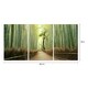 preview thumbnail 3 of 2, Chic Home Pine Road 3 Piece Set Wrapped Canvas Wall Art Giclee Print - Multi-color 20 x 40.5