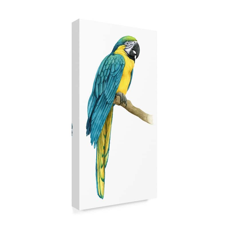 Grace Popp 'teal Macaw I' Canvas Art - Bed Bath & Beyond - 25449712