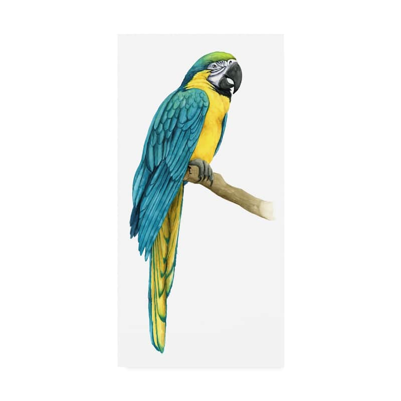 Grace Popp 'teal Macaw I' Canvas Art - Bed Bath & Beyond - 25449712