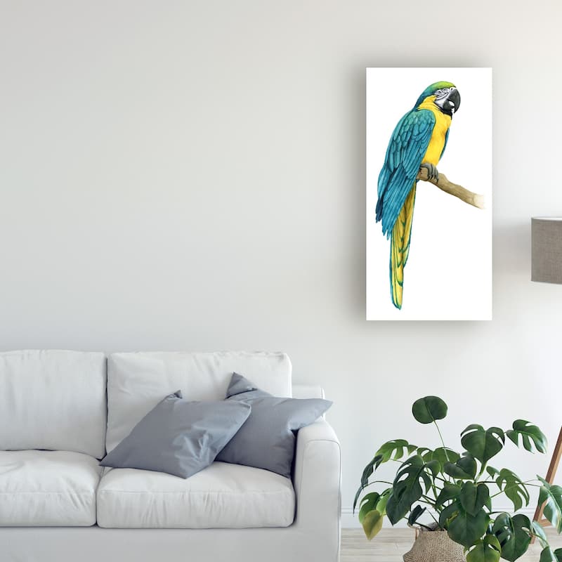 Grace Popp 'Teal Macaw I' Canvas Art - Bed Bath & Beyond - 25449712