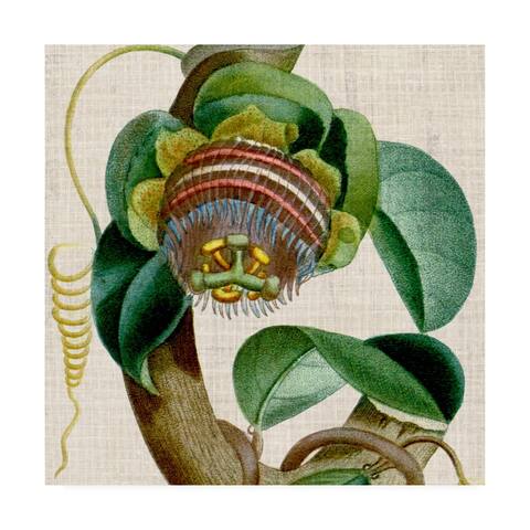 Vision Studio 'Cropped Turpin Tropicals Iv' Canvas Art