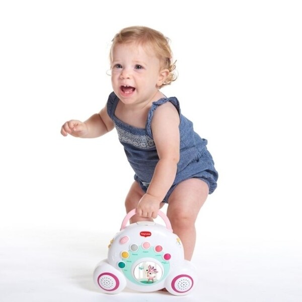 tiny love tiny princess soothe n groove mobile