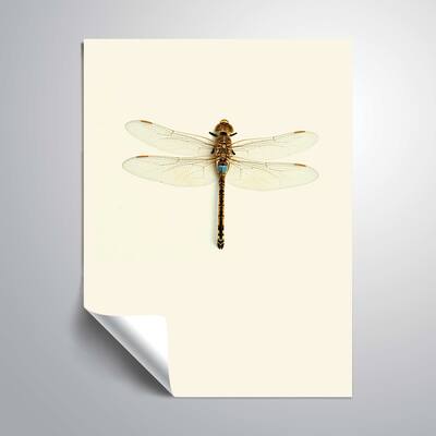 ArtWall 'Dragonfly' Removable Wall Art Mural