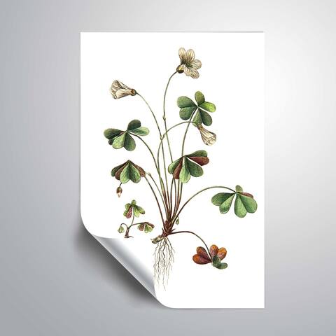 ArtWall 'Botanica II' Removable Wall Art Mural