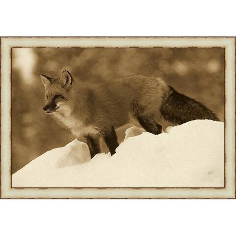 Red Fox Framed Print - Brown