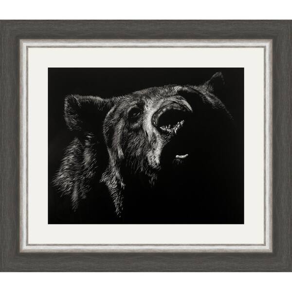Scratchboard Critic Bear Framed Print Black Bed Bath & Beyond