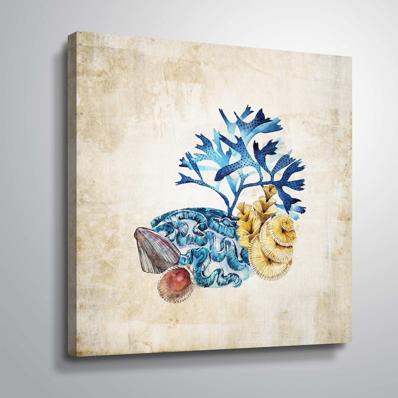 ArtWall 'Sea life II' Gallery Wrapped Canvas