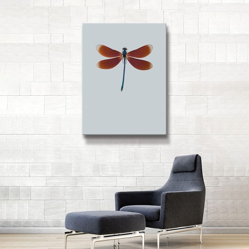 Artwall 'dragonfly Ii' Gallery Wrapped Canvas - Bed Bath & Beyond 