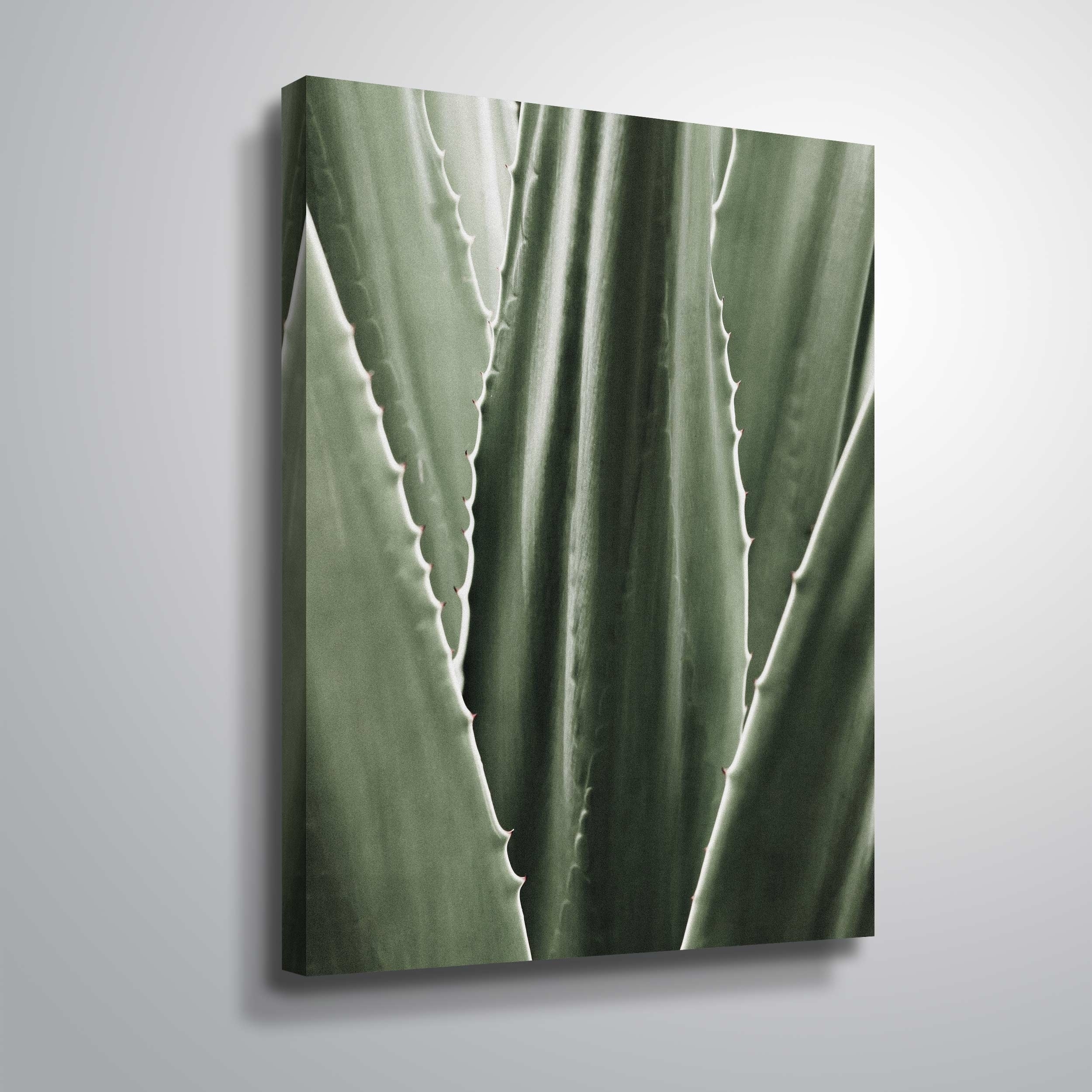 ArtWall 'Leaf I' Gallery Wrapped Canvas