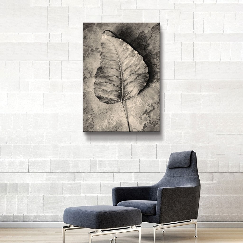 ArtWall 'Dried leaf' Gallery Wrapped Canvas