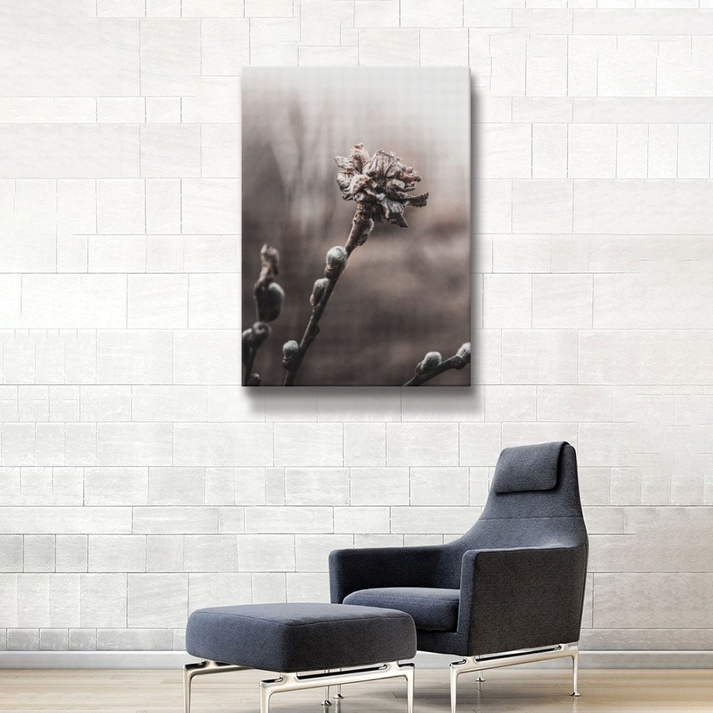 ArtWall 'Spring' Gallery Wrapped Canvas