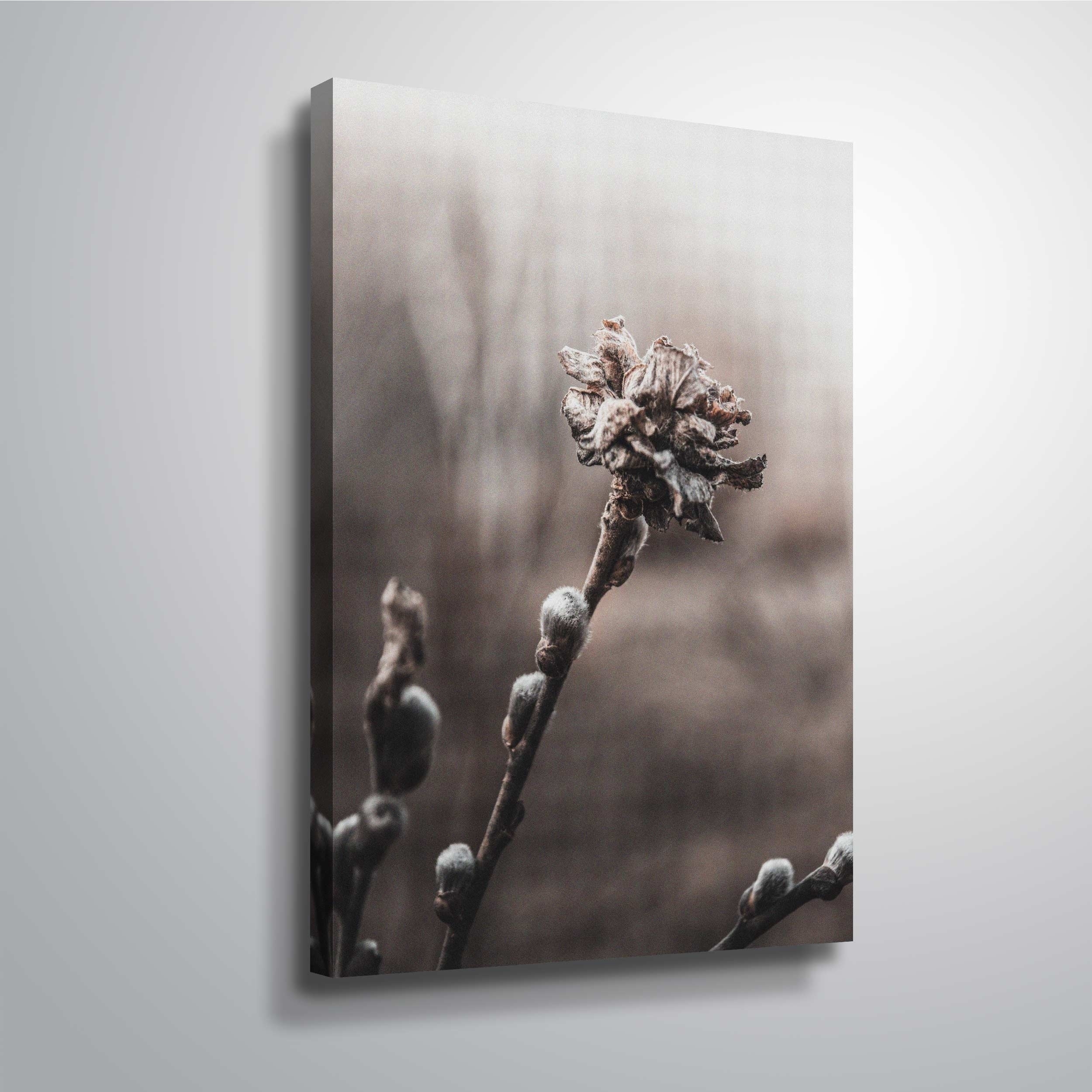 ArtWall 'Spring' Gallery Wrapped Canvas