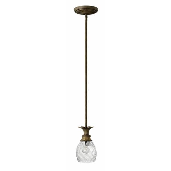 slide 1 of 1, Hinkley Plantation 1-Light Mini Pendant in Pearl Bronze