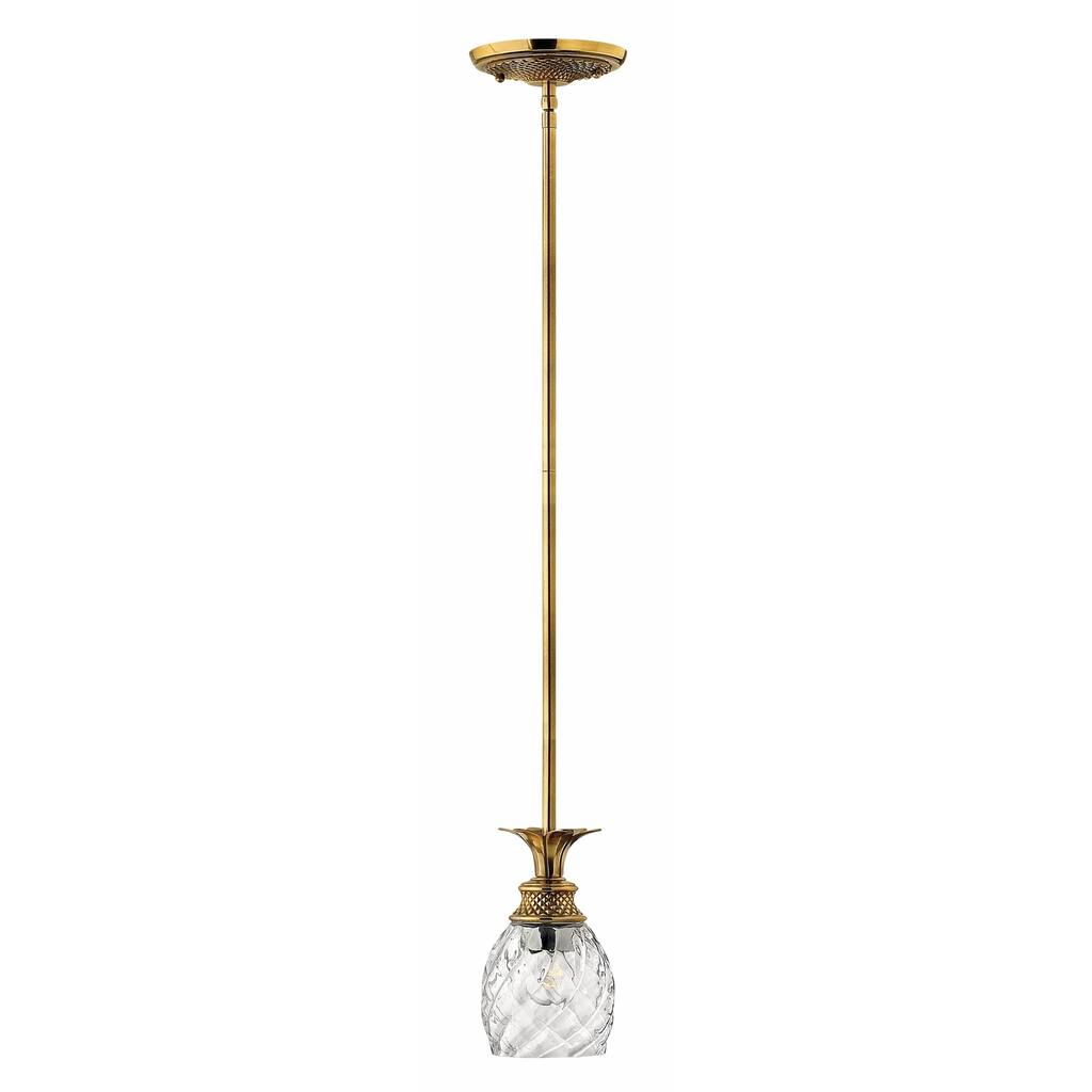 Hinkley Plantation 1-Light Mini Pendant in Burnished Brass