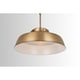 preview thumbnail 4 of 4, 1-light Aged Brass Pendant Fixture - Aged Brass - Aged Brass