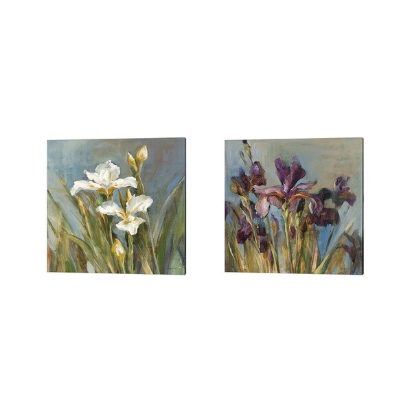 Danhui Nai 'Spring Iris' Canvas Art (Set of 2)
