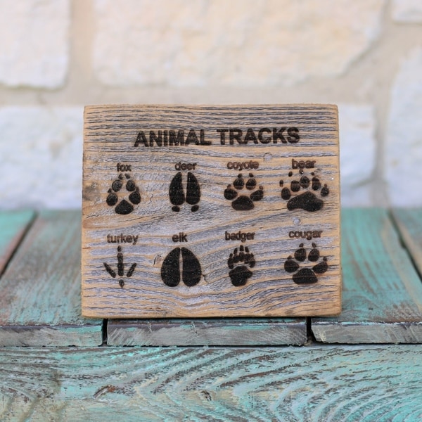 Animal Tracks 5x7