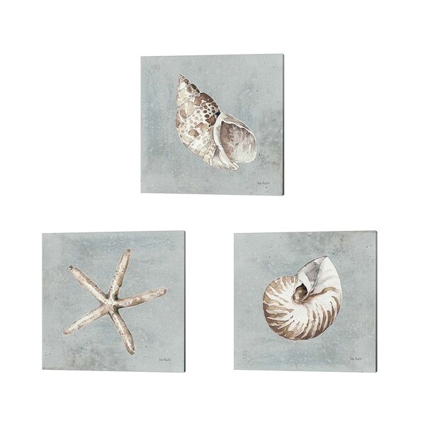 Lisa Audit 'Sand and Seashells' Canvas Art (Set of 3)