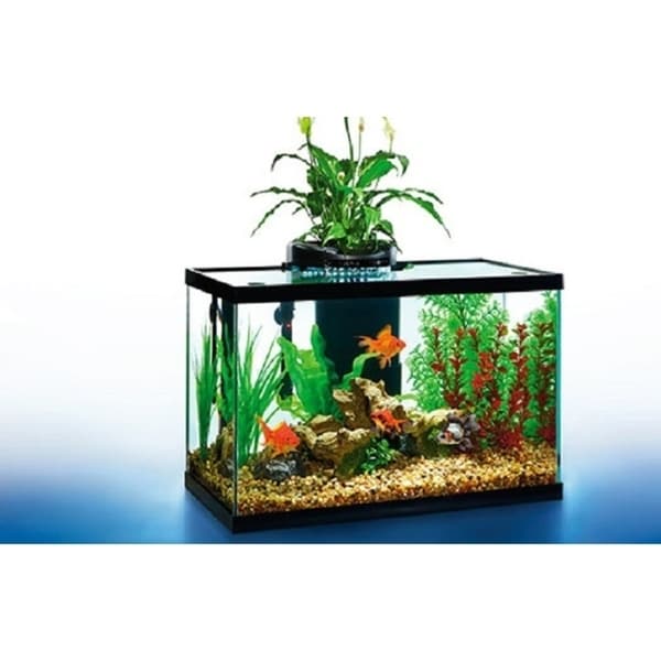 shop aquaduo 20 gallon led aquarium kit - black - 20