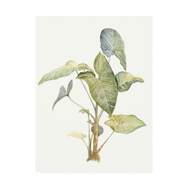 Shop Megan Meagher Tropical Watercolor Leaves Iv Canvas Art Overstock 25619442 24x32