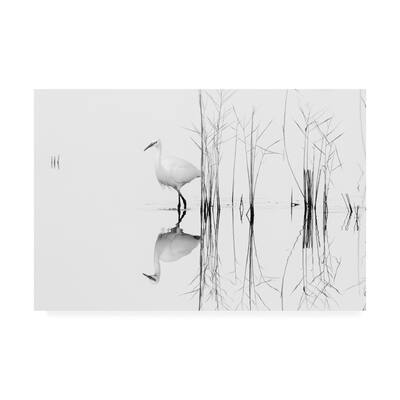 Zhecho Planinski 'White Birds in The Light' Canvas Art