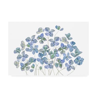 Mandy Disher 'Hydrangea Blue' Canvas Art