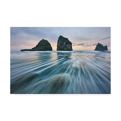 Yan Zhang 'Wild West Coast' Canvas Art