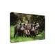 Stefan Volkel 'Wild Boar Family' Canvas Art - Bed Bath & Beyond - 25619639