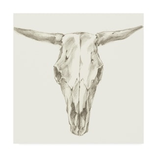 Ethan Harper 'western Skull Mount Ii' Canvas Art - Bed Bath & Beyond 