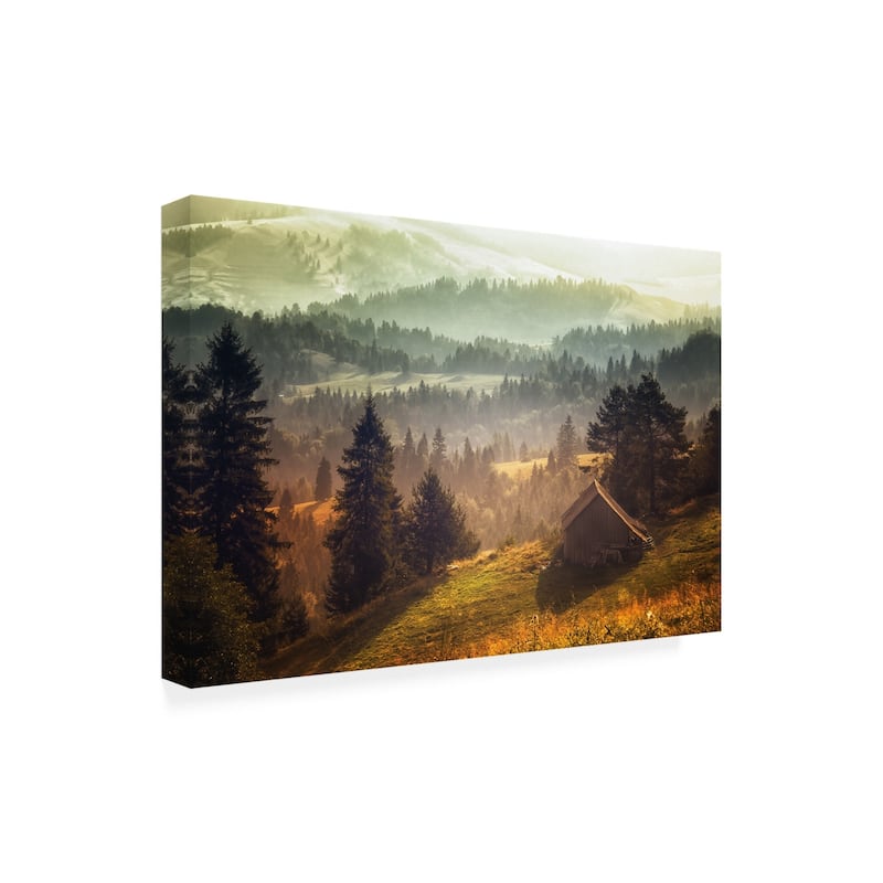 Stanislav Hricko 'Pine Barn' Canvas Art