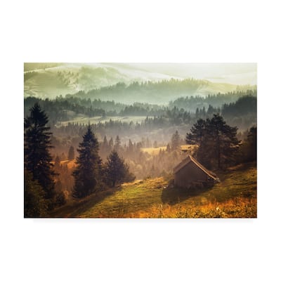 Stanislav Hricko 'Pine Barn' Canvas Art