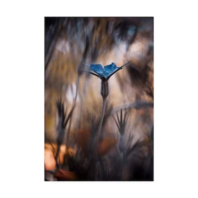 Fabien Bravin 'The Blue Crown' Canvas Art