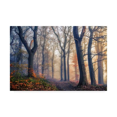 Leif Londal 'The Forest Path' Canvas Art