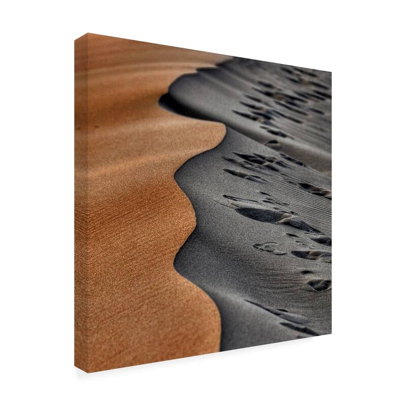 Arash Karimi 'abstract Sand Dunes' Canvas Art - Bed Bath & Beyond 