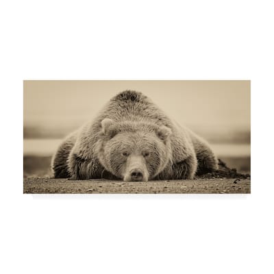 Phburchett 'Deep Sleep' Canvas Art