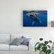 Cedric Peneau 'Humpback Whale Calf Reunion Island' Canvas Art - Bed ...