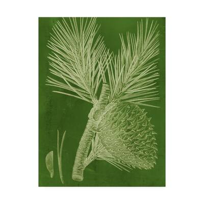 Vision Studio 'Modern Pine Iii' Canvas Art