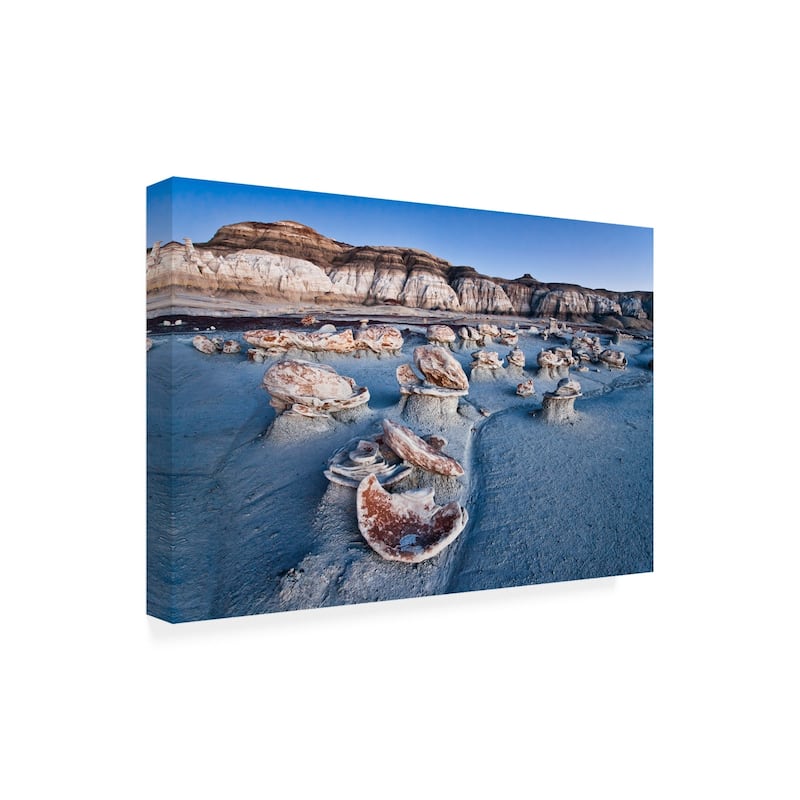 John Fan 'Bisti Blue' Canvas Art