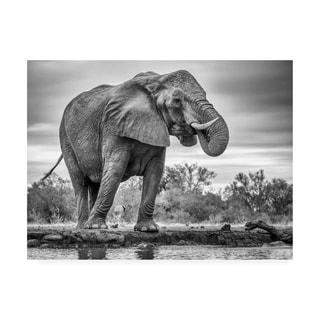 Jaco Marx 'Standing Proud Elephant' Canvas Art - Bed Bath & Beyond ...