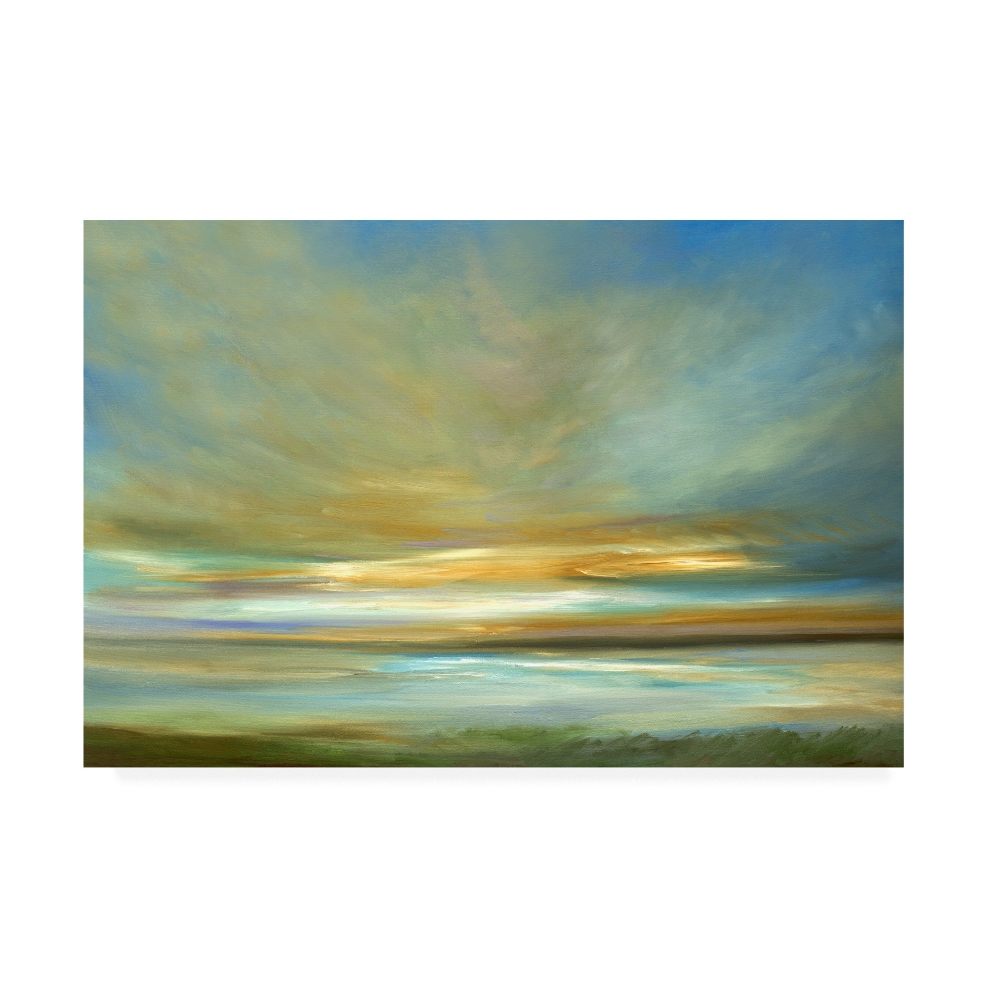 Sheila Finch 'Light On The Dunes' Canvas Art
