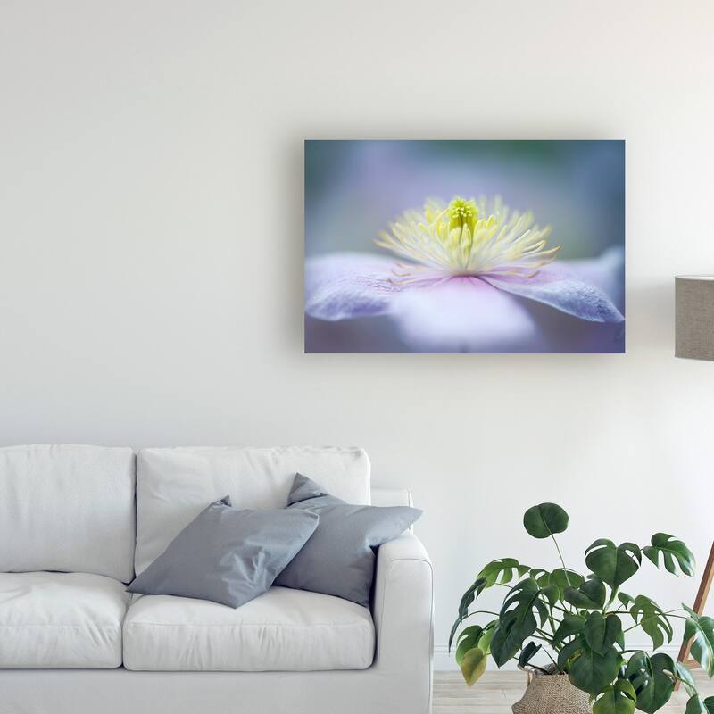 Jacky Parker 'Maylene' Canvas Art