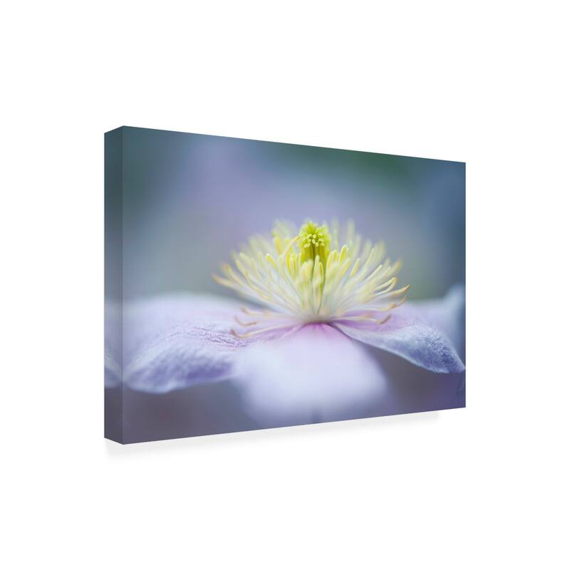Jacky Parker 'Maylene' Canvas Art