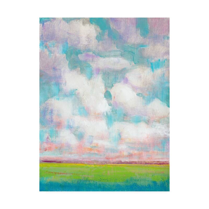 Tim Otoole 'Clouds In Motion I' Canvas Art