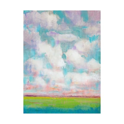 Tim Otoole 'Clouds In Motion I' Canvas Art