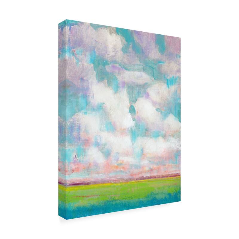 Tim Otoole 'Clouds In Motion I' Canvas Art