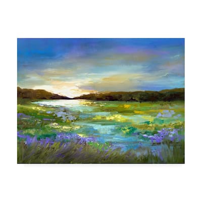 Sheila Finch 'Radiant Evening' Canvas Art