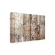 Irena Orlov 'Frozen In Time I' Canvas Art - Bed Bath & Beyond - 25621170