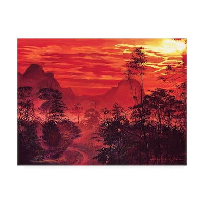 David Lloyd Glover 'Amazon Sunset' Canvas Art