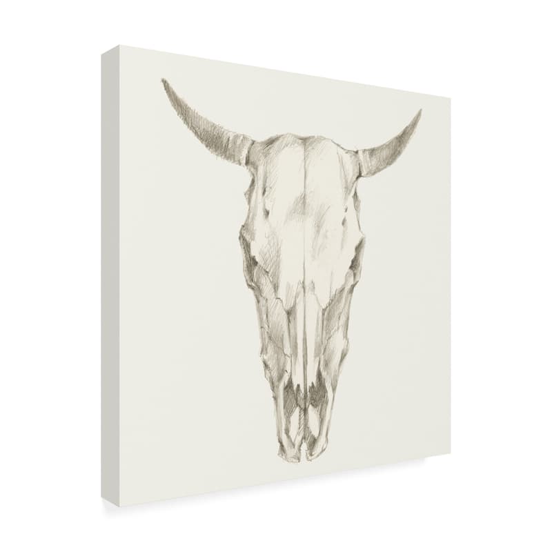 Ethan Harper 'Western Skull Mount I' Canvas Art - Bed Bath & Beyond ...